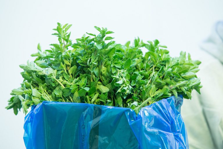ExtendBag (Herbs) packaging